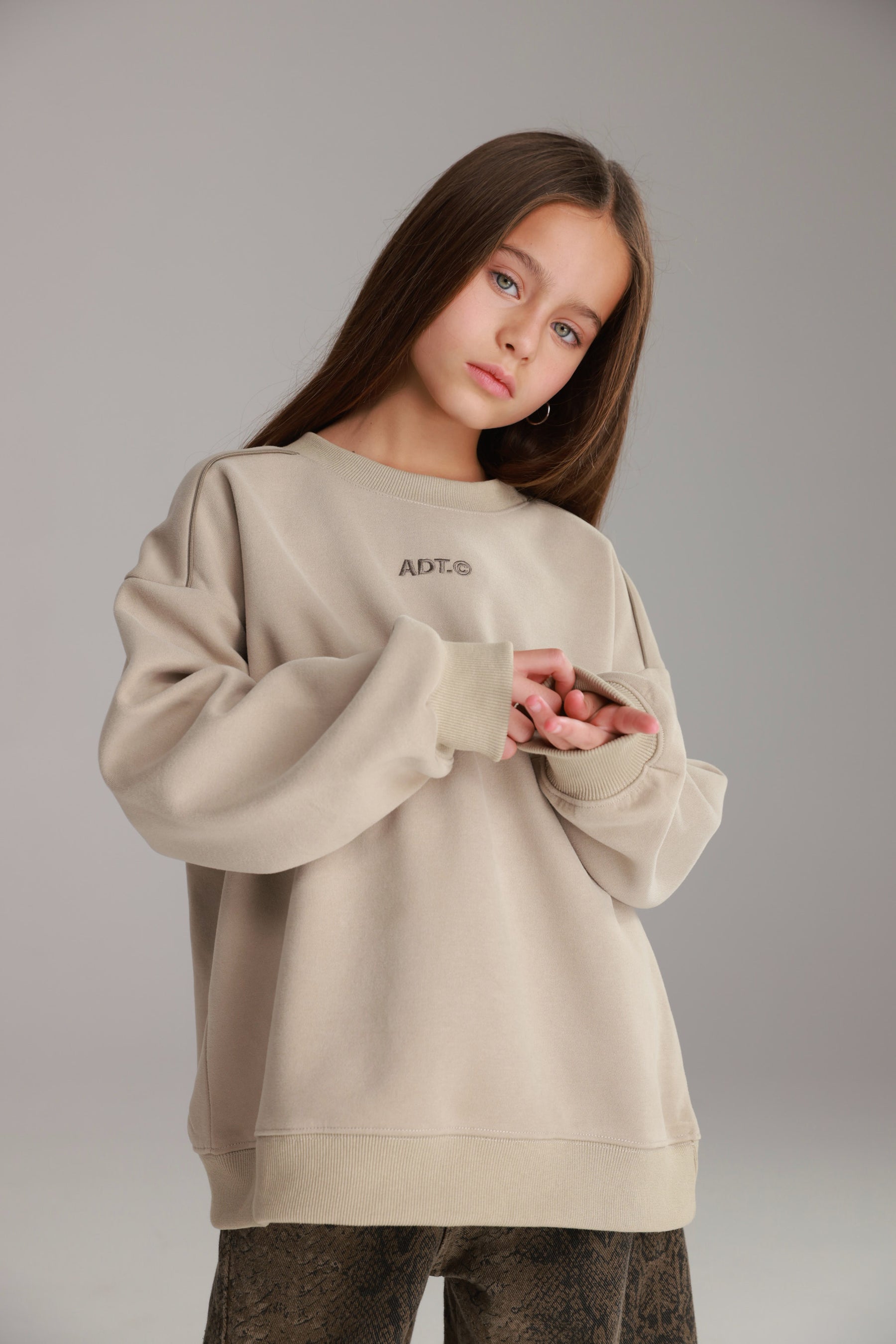 סוויטשירט היילי בז'