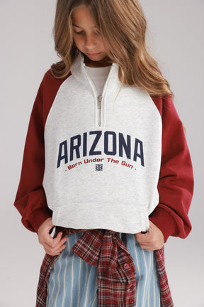 סוויטשירט אייבי אפור