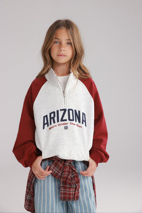 סוויטשירט אייבי אפור