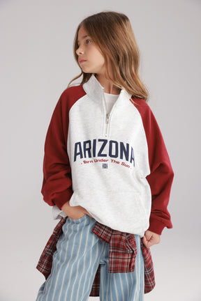 סוויטשירט אייבי אפור