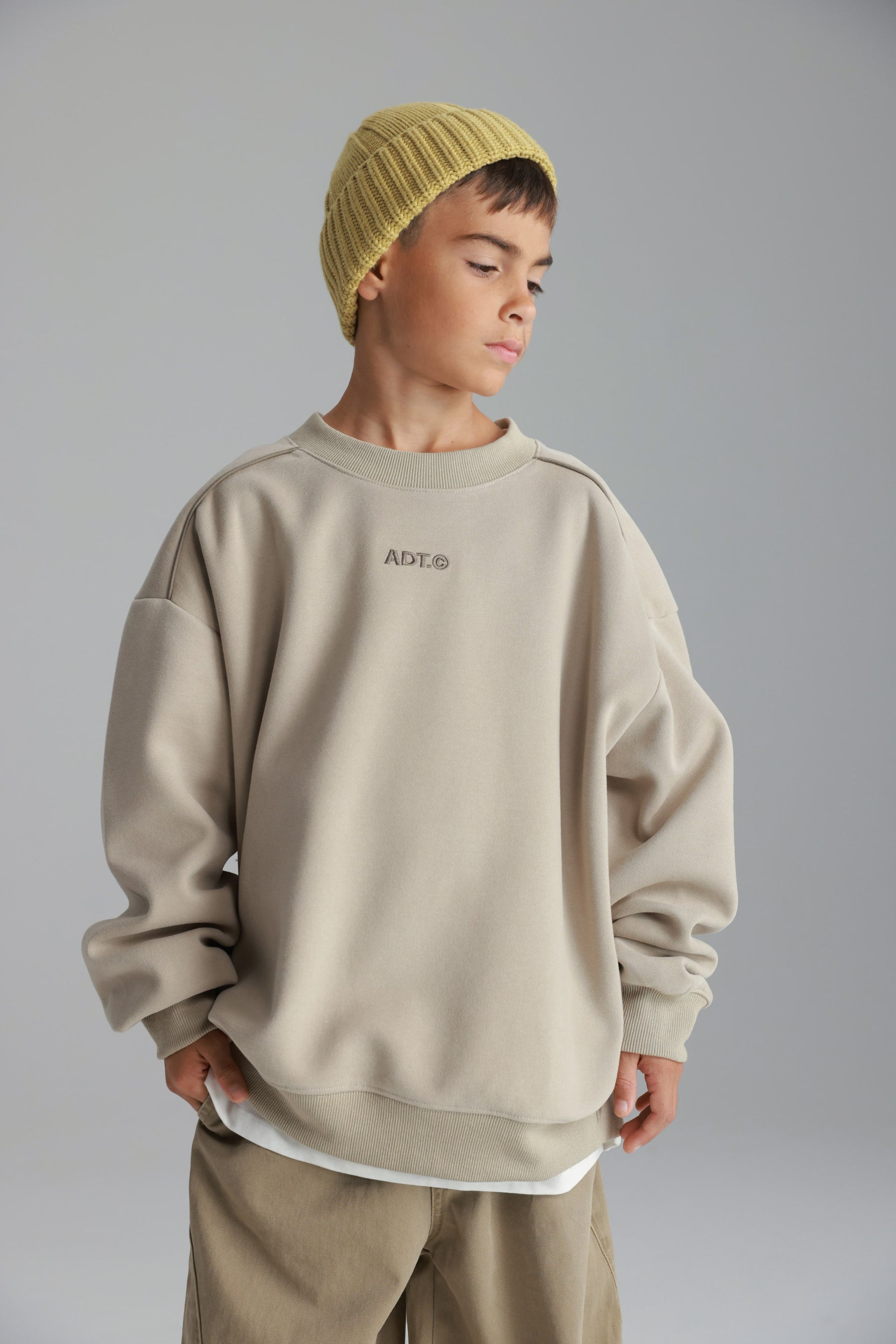 סוויטשירט היילי בז'